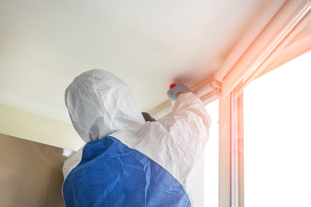 Why You Should Choose Our Mold Remediation Services in South Greensburg, PA